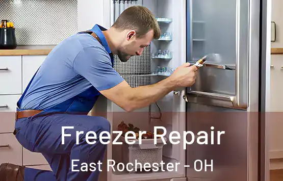  Freezer Repair East Rochester - OH