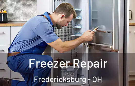  Freezer Repair Fredericksburg - OH