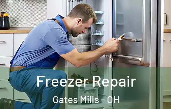  Freezer Repair Gates Mills - OH