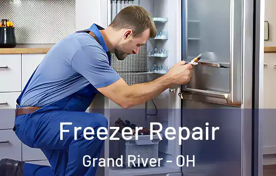  Freezer Repair Grand River - OH