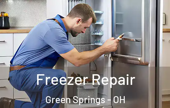  Freezer Repair Green Springs - OH