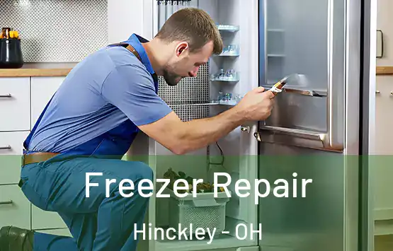  Freezer Repair Hinckley - OH