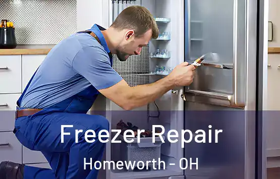  Freezer Repair Homeworth - OH