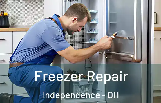  Freezer Repair Independence - OH