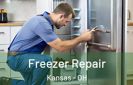  Freezer Repair Kansas - OH
