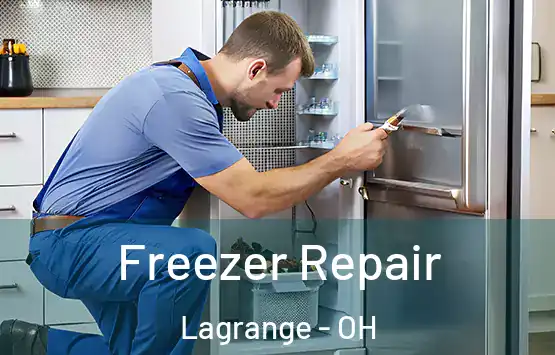  Freezer Repair Lagrange - OH
