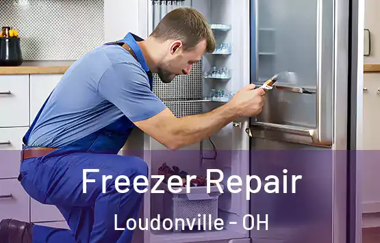  Freezer Repair Loudonville - OH