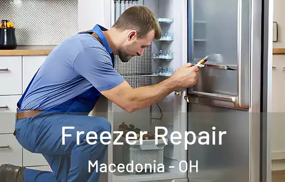  Freezer Repair Macedonia - OH