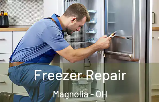  Freezer Repair Magnolia - OH