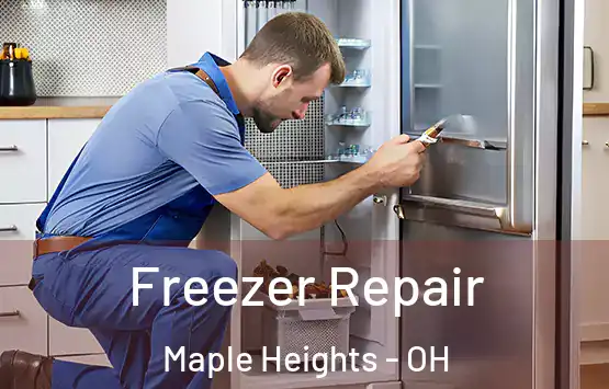  Freezer Repair Maple Heights - OH