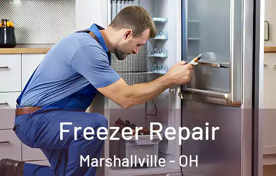  Freezer Repair Marshallville - OH