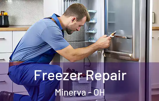  Freezer Repair Minerva - OH