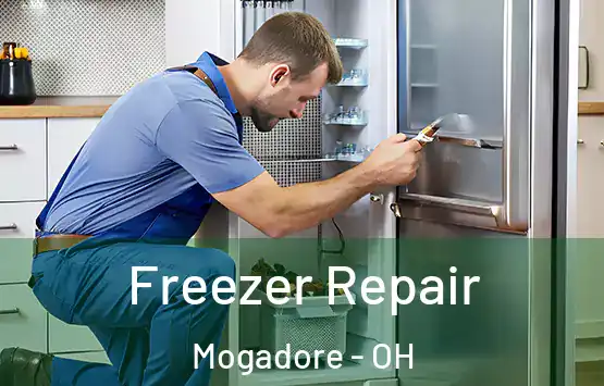  Freezer Repair Mogadore - OH
