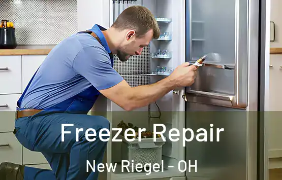  Freezer Repair New Riegel - OH