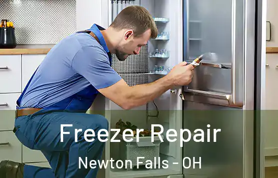  Freezer Repair Newton Falls - OH