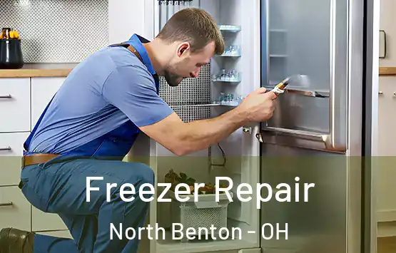  Freezer Repair North Benton - OH