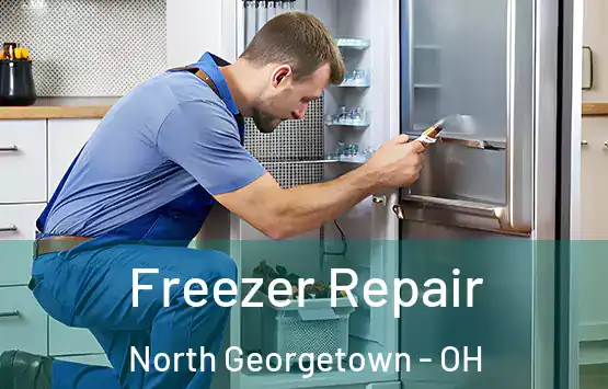  Freezer Repair North Georgetown - OH