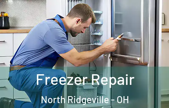  Freezer Repair North Ridgeville - OH