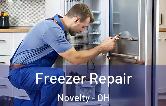  Freezer Repair Novelty - OH