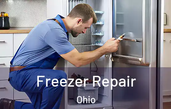 Freezer Repair Ohio