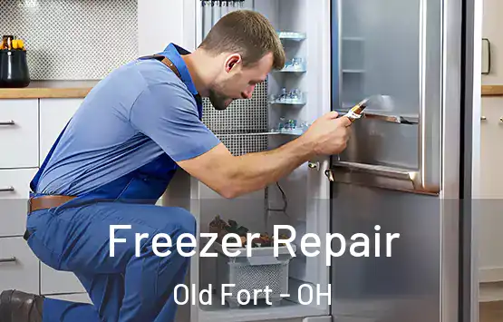 Freezer Repair Old Fort - OH