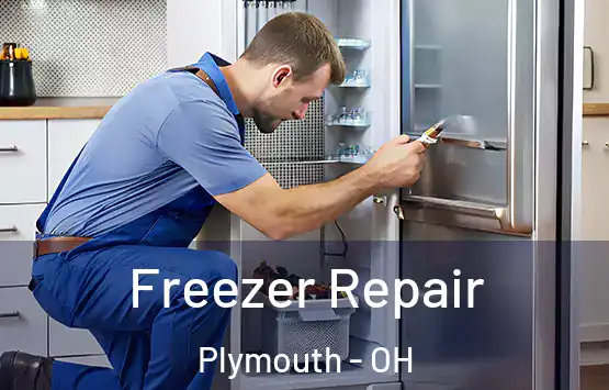  Freezer Repair Plymouth - OH