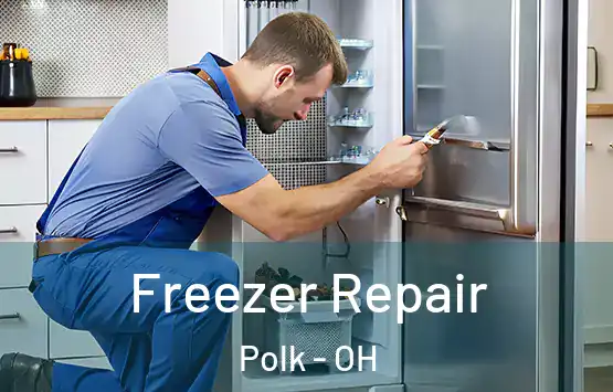  Freezer Repair Polk - OH