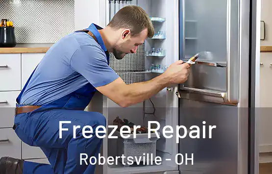  Freezer Repair Robertsville - OH