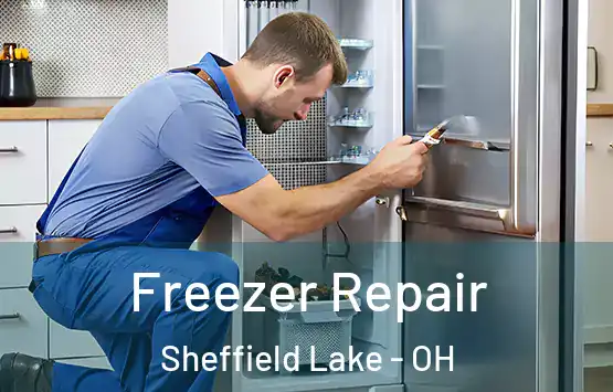 Freezer Repair Sheffield Lake - OH