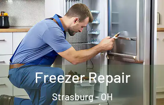  Freezer Repair Strasburg - OH