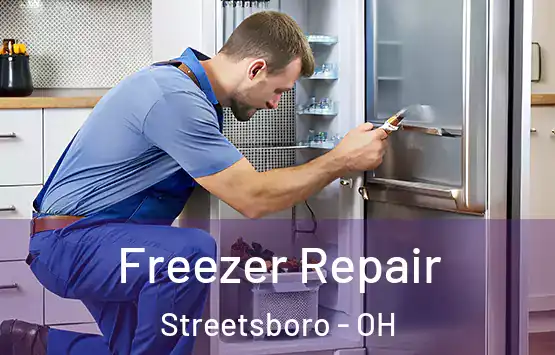  Freezer Repair Streetsboro - OH