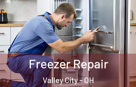  Freezer Repair Valley City - OH