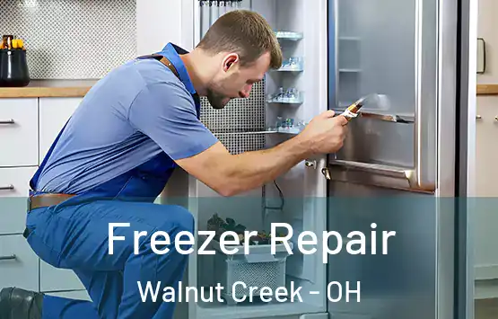  Freezer Repair Walnut Creek - OH