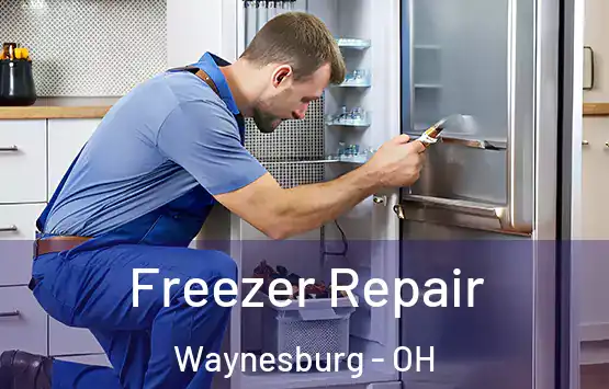  Freezer Repair Waynesburg - OH