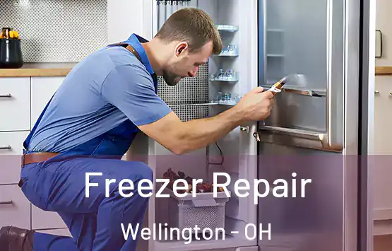  Freezer Repair Wellington - OH