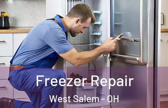  Freezer Repair West Salem - OH
