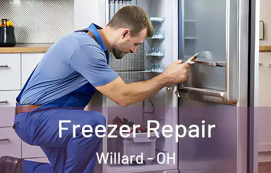  Freezer Repair Willard - OH