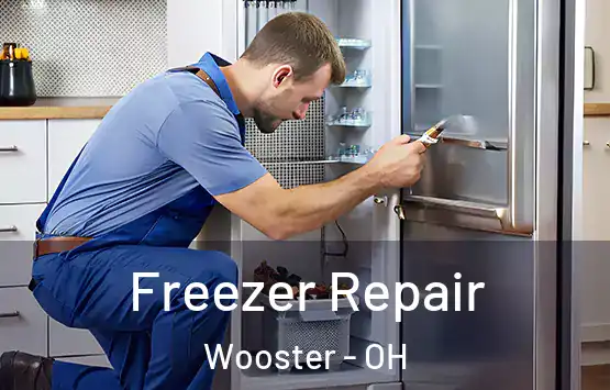  Freezer Repair Wooster - OH