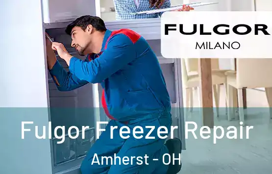  Fulgor Freezer Repair Amherst - OH