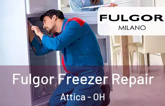  Fulgor Freezer Repair Attica - OH