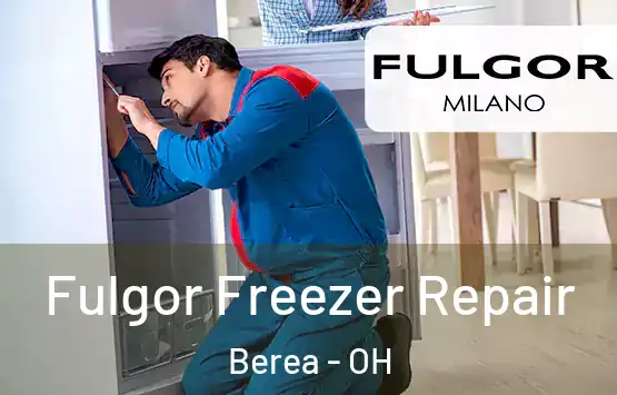  Fulgor Freezer Repair Berea - OH
