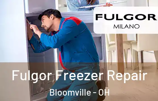  Fulgor Freezer Repair Bloomville - OH