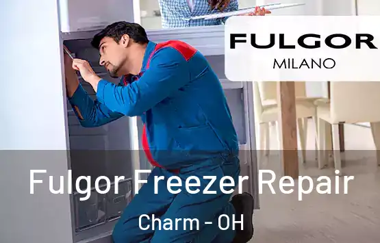  Fulgor Freezer Repair Charm - OH