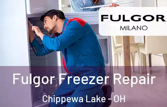  Fulgor Freezer Repair Chippewa Lake - OH