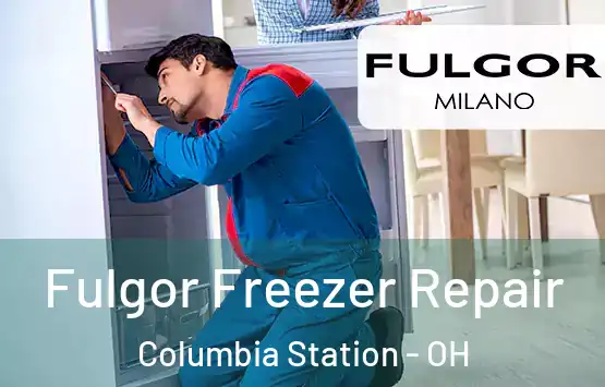  Fulgor Freezer Repair Columbia Station - OH