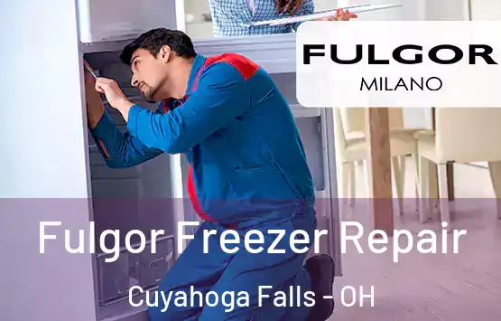  Fulgor Freezer Repair Cuyahoga Falls - OH