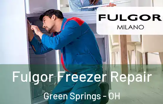  Fulgor Freezer Repair Green Springs - OH