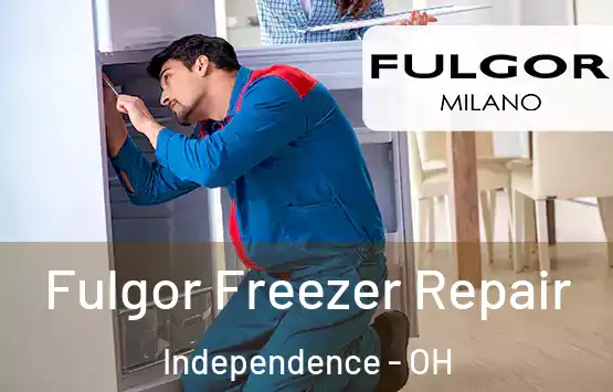  Fulgor Freezer Repair Independence - OH