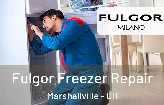  Fulgor Freezer Repair Marshallville - OH