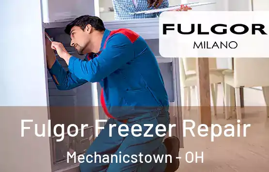  Fulgor Freezer Repair Mechanicstown - OH